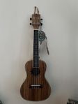 Ukulele concert