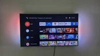 Philips 49"