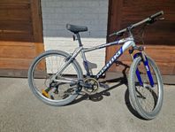 MTB Nishiki Timbuk 18"