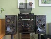 Hifistapel, Pioneer tillsammans med LP-skivor