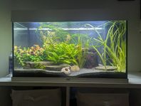 komplett akvarium Juwel 125L