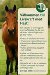 umgås och lär dig med hästen som stöd