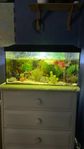 Akvarium 56Liter