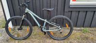 cannondale trail 8