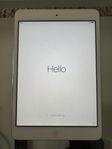 iPad mini 