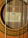 Yamaha Gitarr