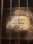 George Washburn Limited Edition guitar