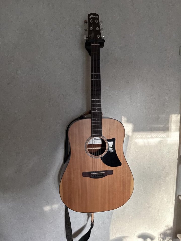 ibanez AAD50-LG