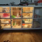 hamster möbel 