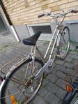 cykel dam