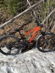Marin Rift Zone 3 29