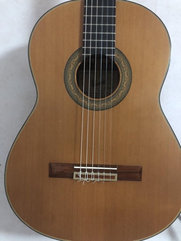Ibanez 398 WM 