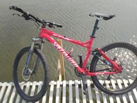 Specialized Epic