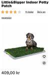 Indoor potty