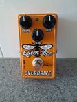 Caline Queen Bee Overdrive 