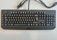 tangentbord razer blackwidow 2014