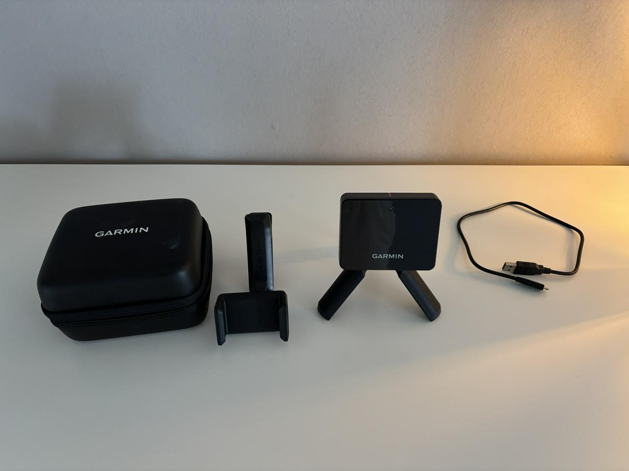 garmin r10