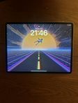 iPad Pro 12,9” (2020 4th gen)