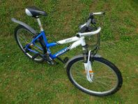 Mountainbike 