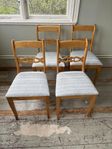 4 stolar i Karl Johan stil 