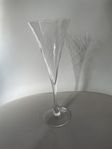 Champagneglas Orrefors Helena 9st