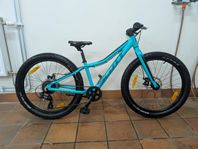Scott roxter 24"