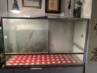 Terrarium 