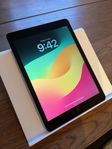 iPad Gen 6