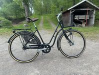 Skeppshult Natur Damcykel