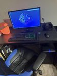 Gaming dator setup 