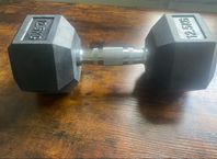12,5 KG hantel