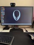 BenQ Zowie 240hz monitor