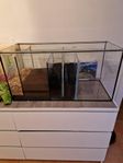 Akvariehobby avyttras