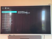 Philips the one 65 65pus8204/12