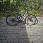 Scott sportster 28 tum