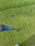 spalding putter
