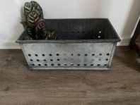 plåtlåda för vöxter eller förvaring 