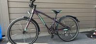 Orbea 24”