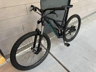 Stumpjumper fsr 29