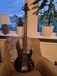 5 strängad bas LTD B-15 
