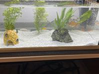 akvarium inkl 8 fiskar och rengörings-pump