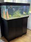 möbelakvarium