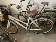 bingolottocykel