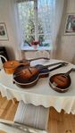 Levin instrument
