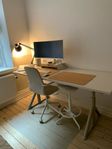 Hemsnickrat skrivbord (IKEA)