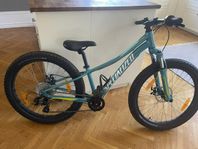 Specialized Riprock 24”