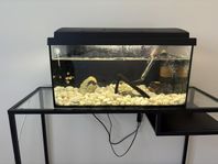 Akvarium 60 liter