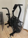 Rogue Echo bike v3