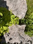 2 st grindstolpar i granit 