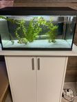 akvarium 
